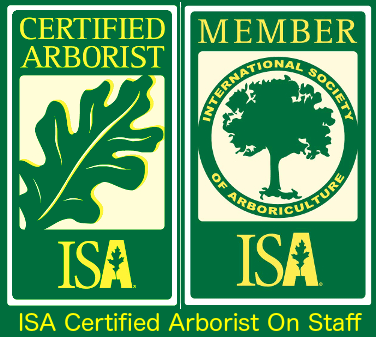 ISA Certified Arborist